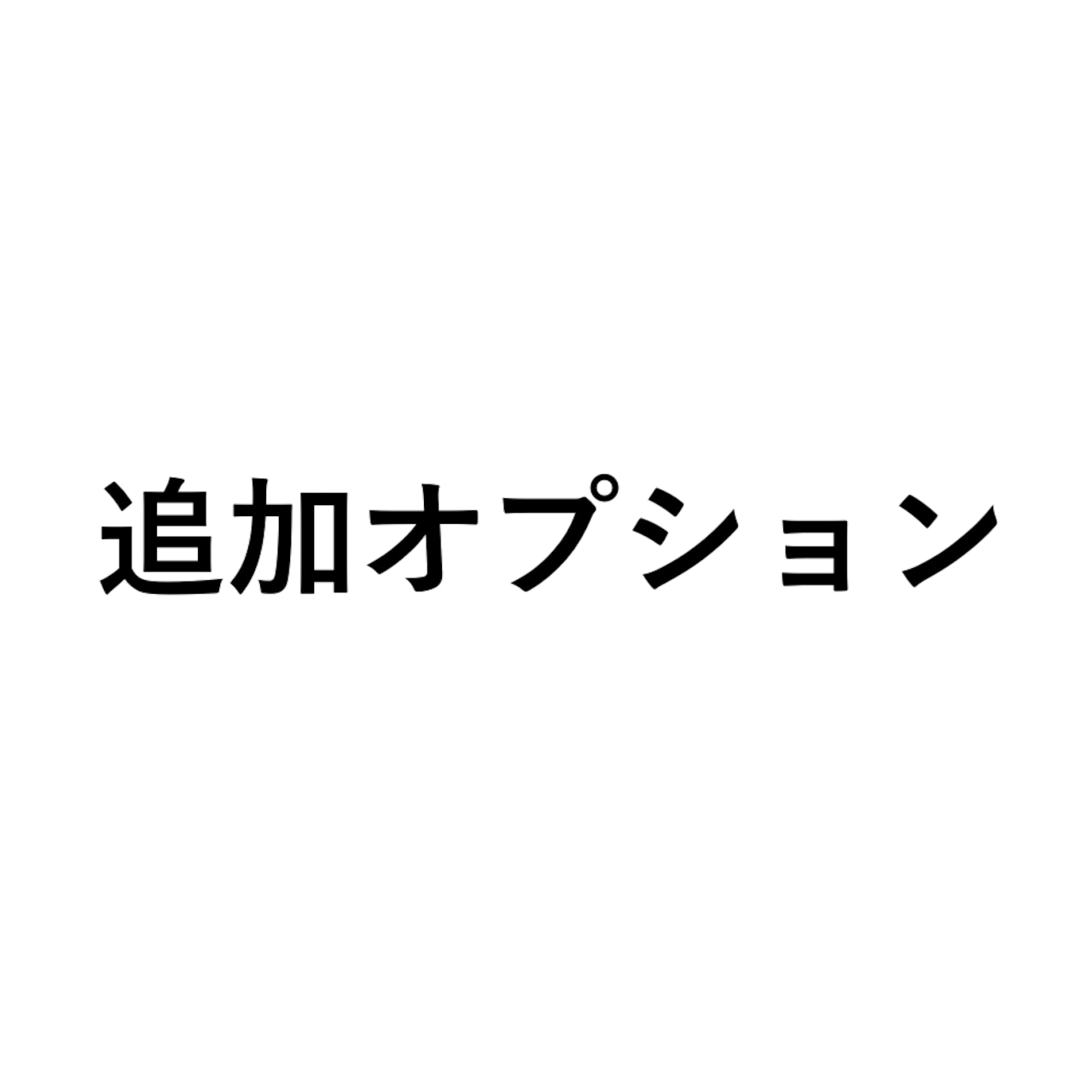 追加オプションについて