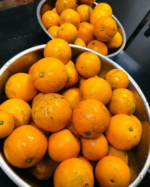 無農薬ネーブルのオランジェット