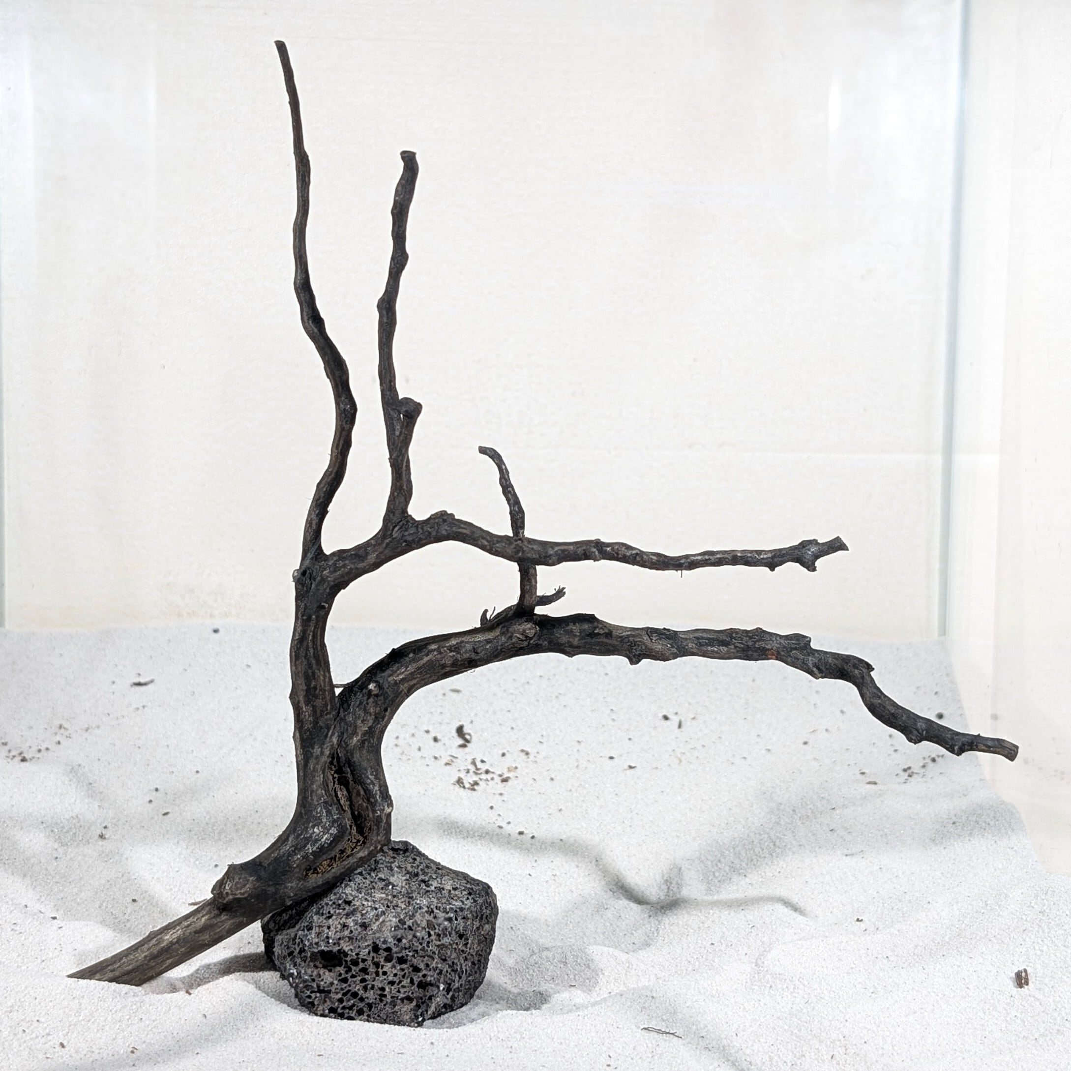 ブラックスマトラブランチウッド【BSB090】 | ペットの流木 水宗工房