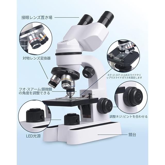 顕微鏡 40X~3200X 小学生 子供 顕微鏡セット 中学生 高校生人気 中学生