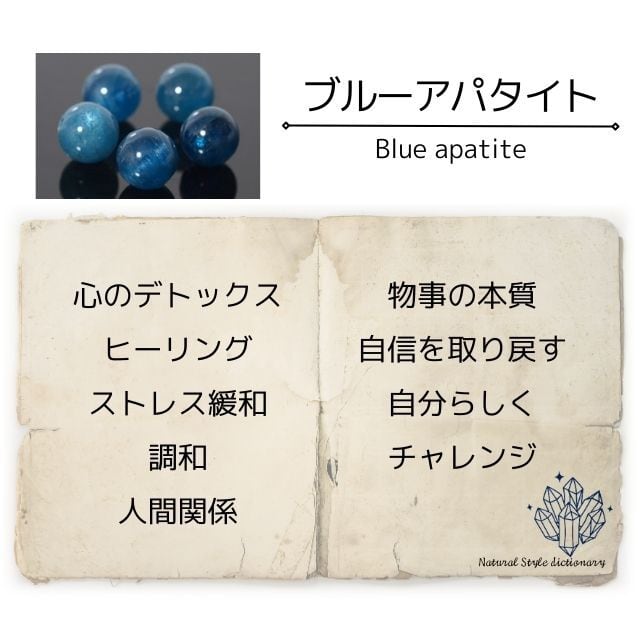 ブルーカルサイト自信持てるようサポート(購入者特典有り)