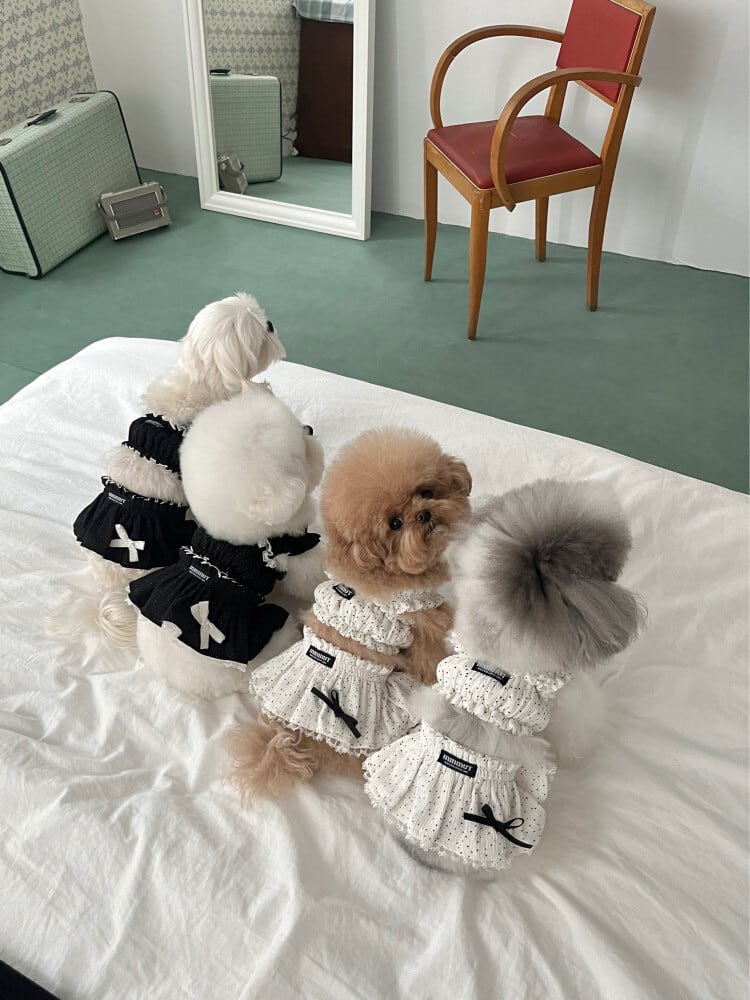 SICGGE】Snow Dress SMサイズ 韓国犬服