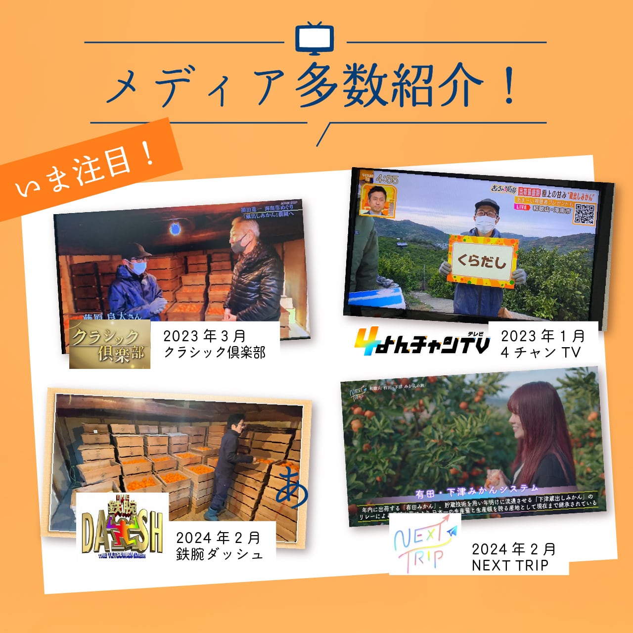 みかん・カンキツ定期便10kg｜和歌山県海南市下津町の藤原農園