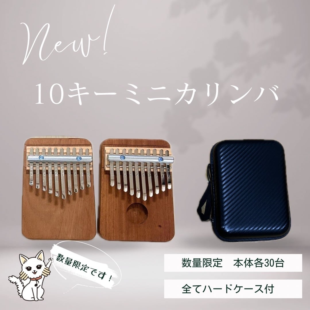 カリンバ 17キー ソリッド ホスタロ ソリッドカリンバ 17キー（ケース付） | おてがるカリンバ