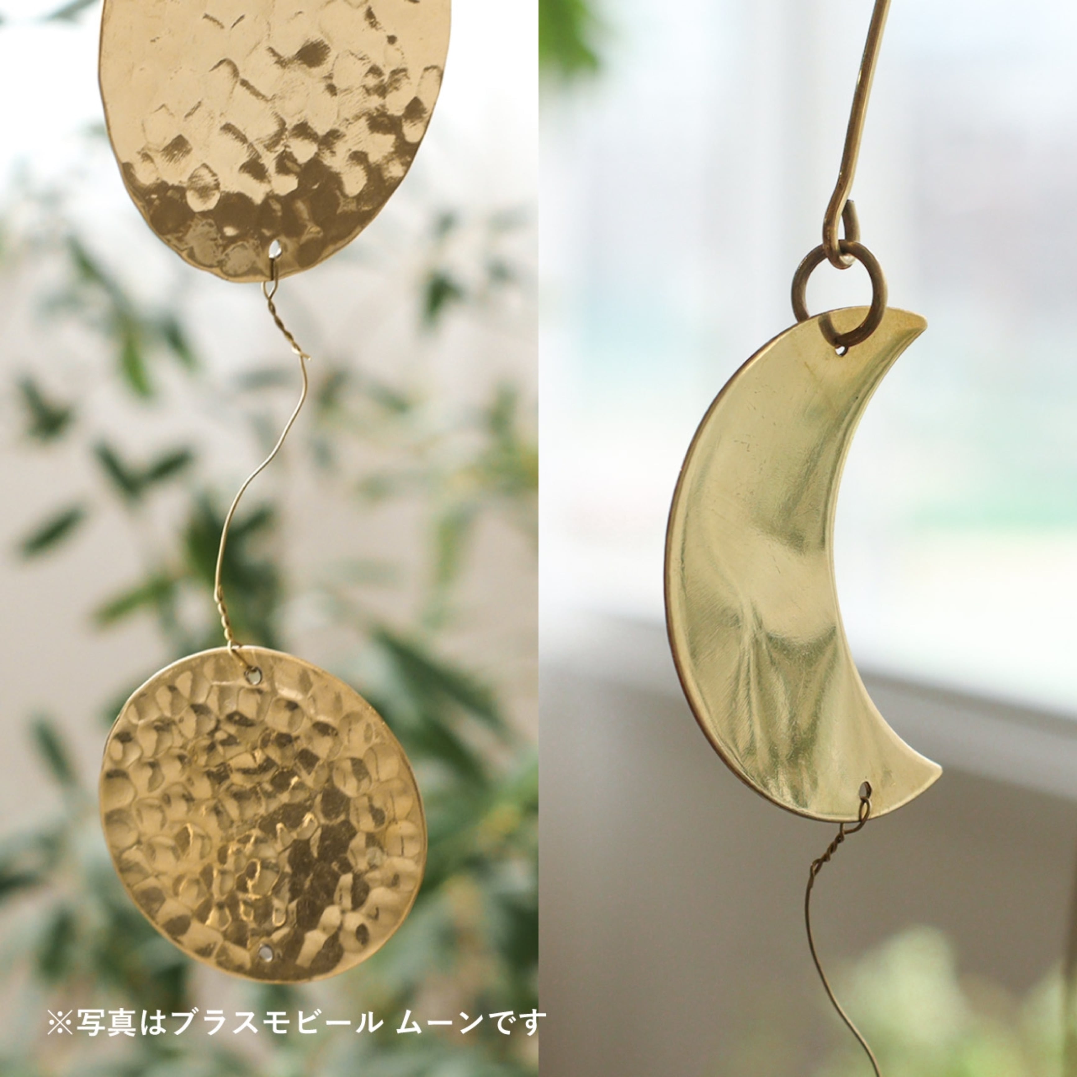 in bloom ブラスモビール ムーン | Zakka so-la