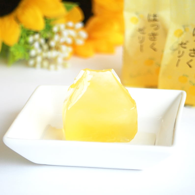 瀬戸内はっさくゼリー｜瀬戸内産はっさく使用 | KUNIWA 柿のお菓子