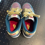 NIKE DUNK LOW "COMMUNITY GARDEN" US9/27.0cm