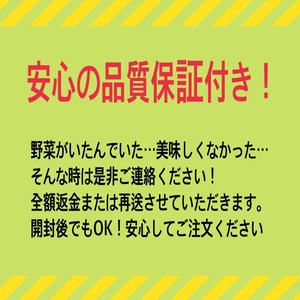 【発送は7月中旬〜】トマトボックス＆ジュースセット
