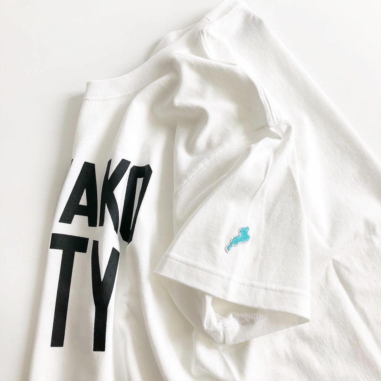 BIWAKO CITY / BASIC LOGO TEE / HEAVY WEIGHT