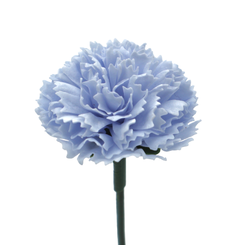 ミニカーネーションMC-BL1 セルリアンブルー (15輪入りor25輪入り)
