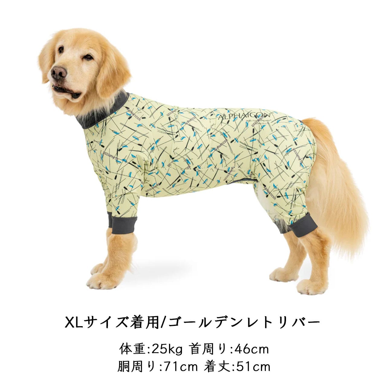 ALPHAICON [アルファアイコン] FULL DOG GUARD [26FDG] フルドッグ