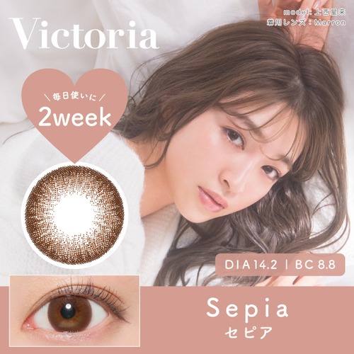 ヴィクトリア 2ウィーク(Victoria 2Week)《Sepia》セピア[6枚入り]