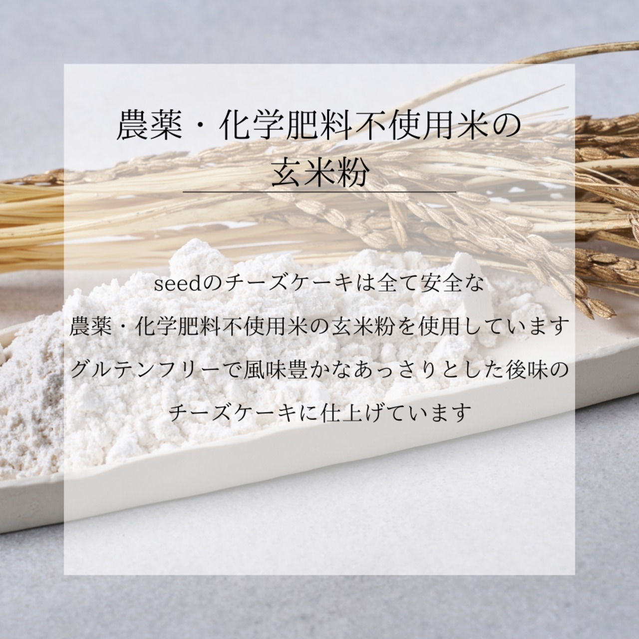 【季節限定】地球に優しいチーズケーキ９個セット　スイートポテト・林檎・かぼちゃ