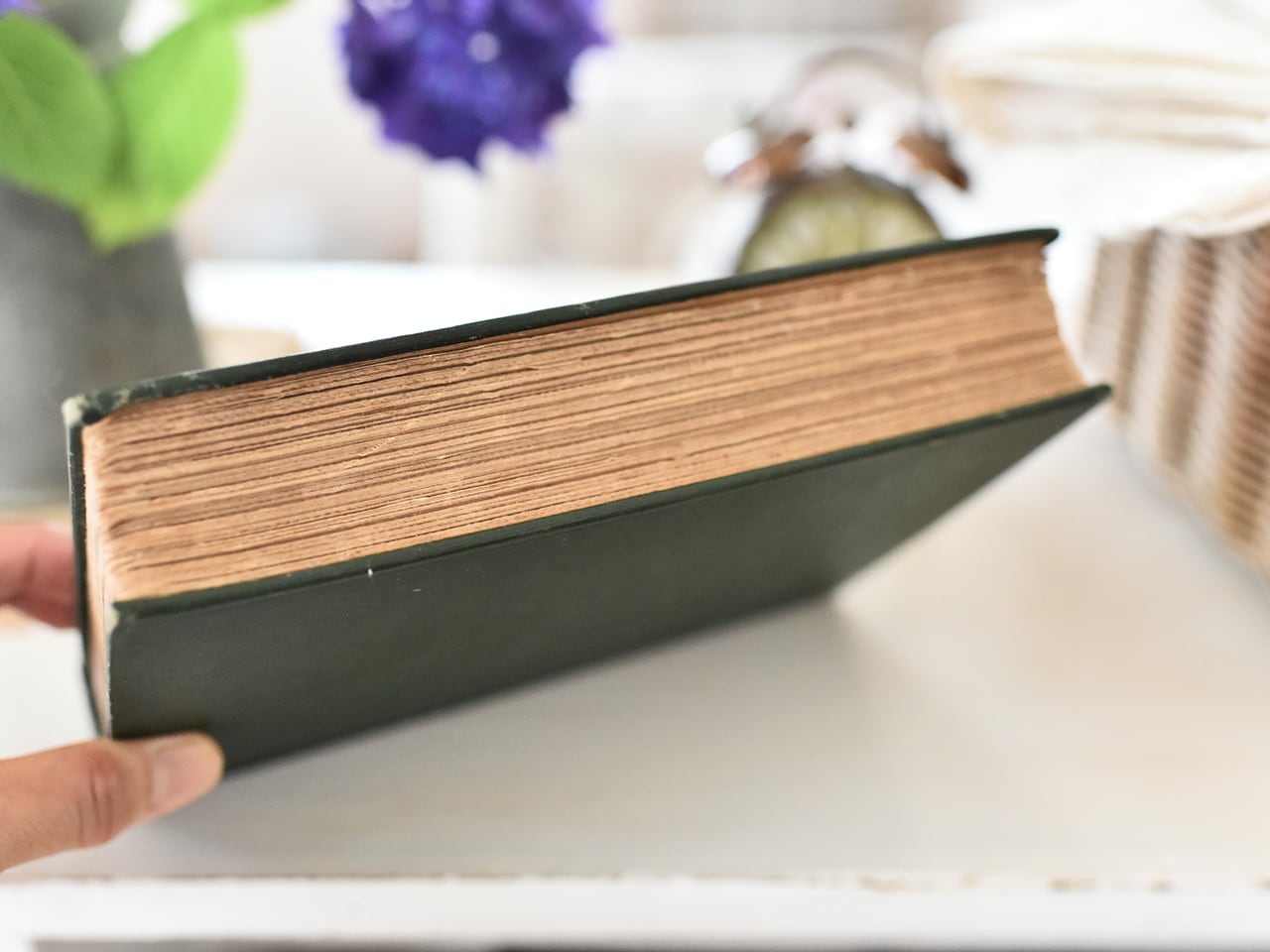 古い色合いが素敵な緑の本 *イギリスアンティーク