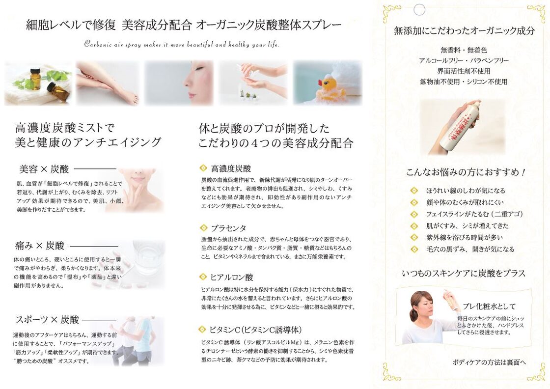 炭酸整体スプレー（WHITE）3本 新品 送料込、特典冊子付 | Pay ID