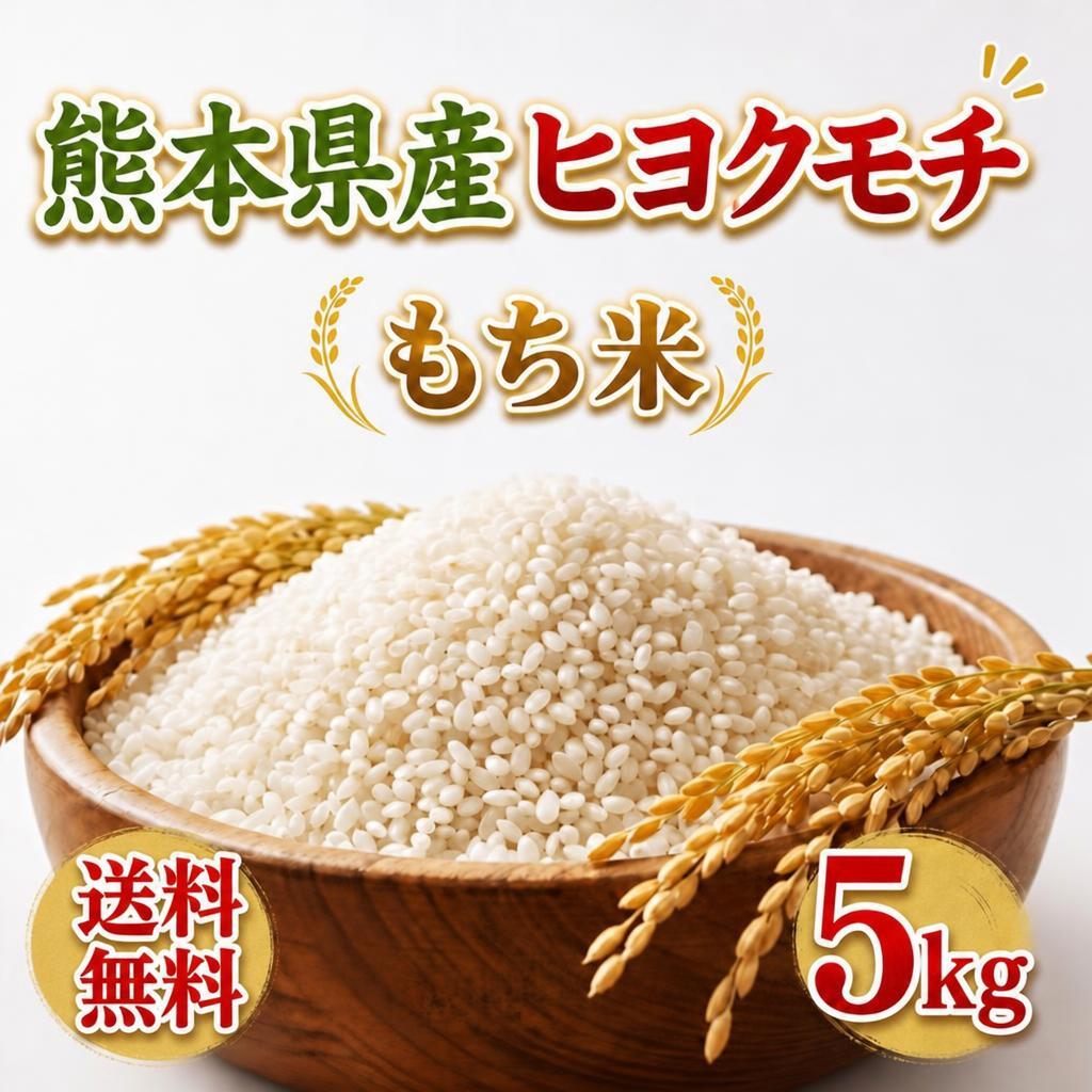 お米 米 5kg 白米 送料無料 熊本県産 ヒヨクモチ もち米 令和7年産