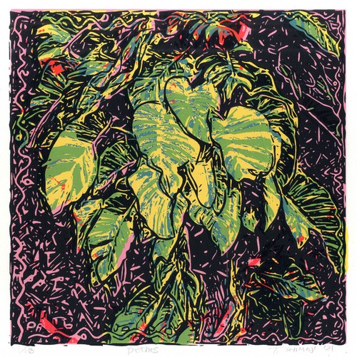 ポトス - Pothos