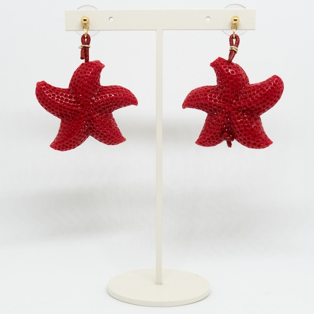 Flaming Star / Earrings