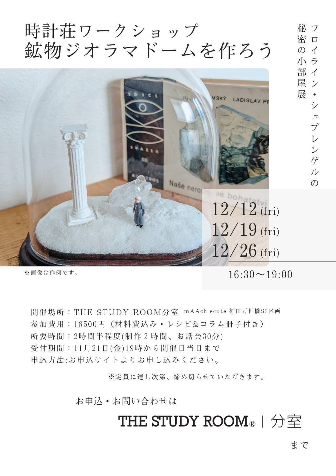 カブトガニ標本 | THE STUDY ROOM