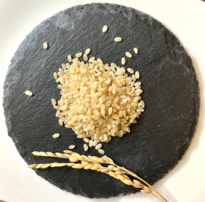 【 定期便 】淡路の米 | 自然栽培 | 農薬不使用・化学肥料不使用　キヌヒカリ | 令和7年 【玄米 3kg】（しっかり）