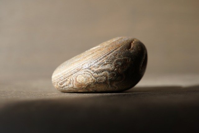 ババグーリ Babaghuri 1103