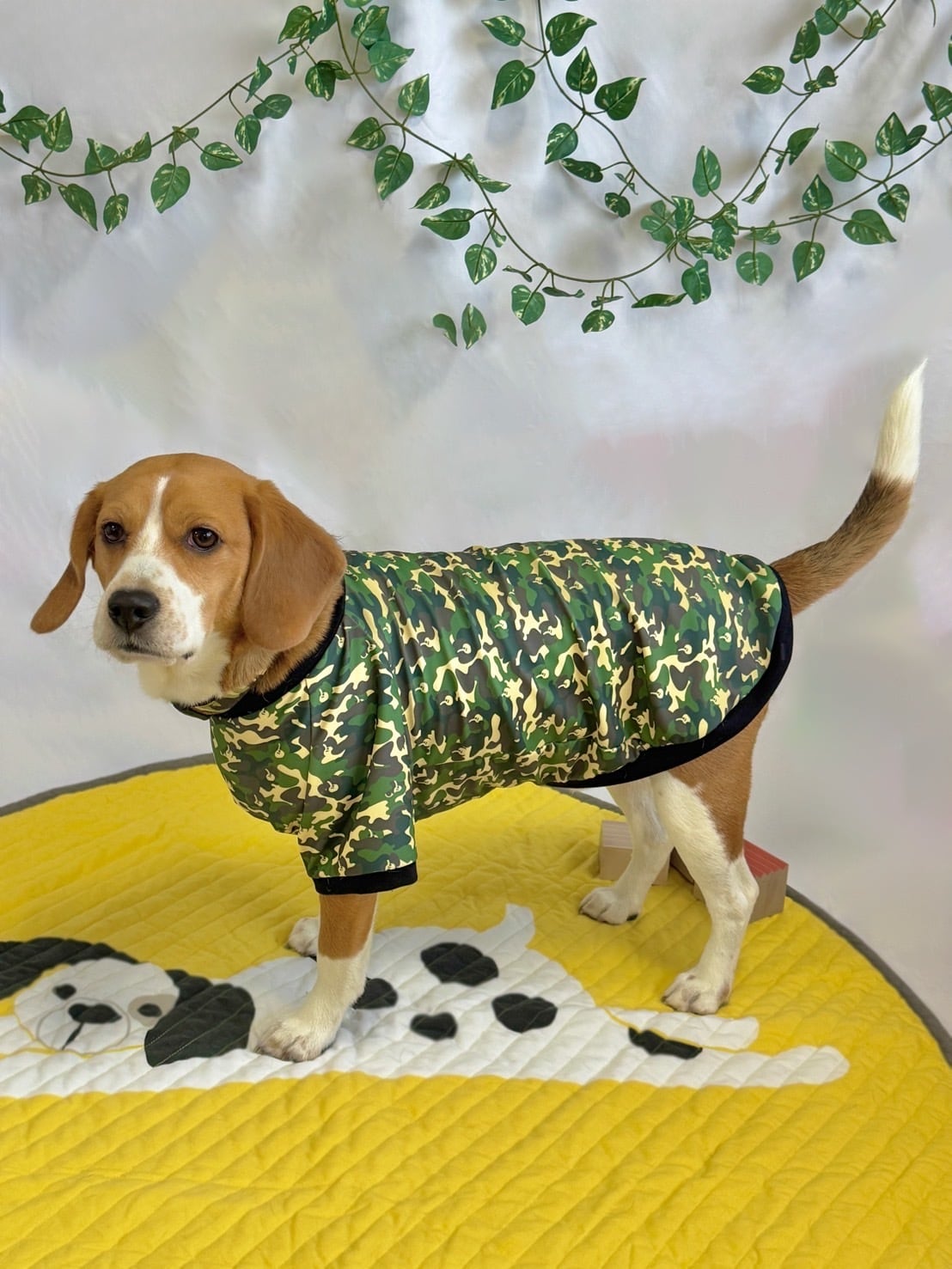迷彩ビーグル柄トップス
