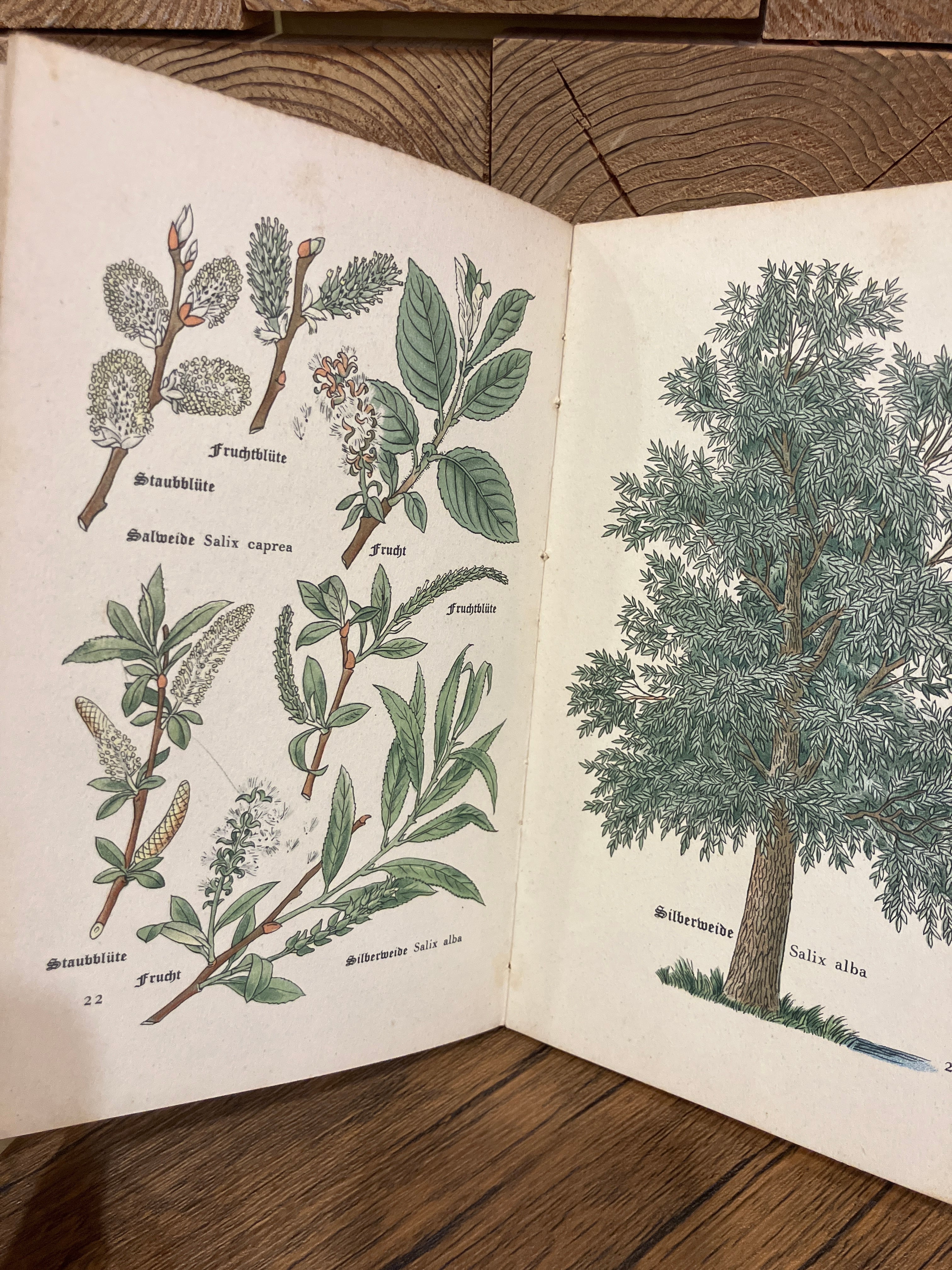 aus dtspr. Ldn. ドイツの子どもの本 | 髙橋麻帆書店