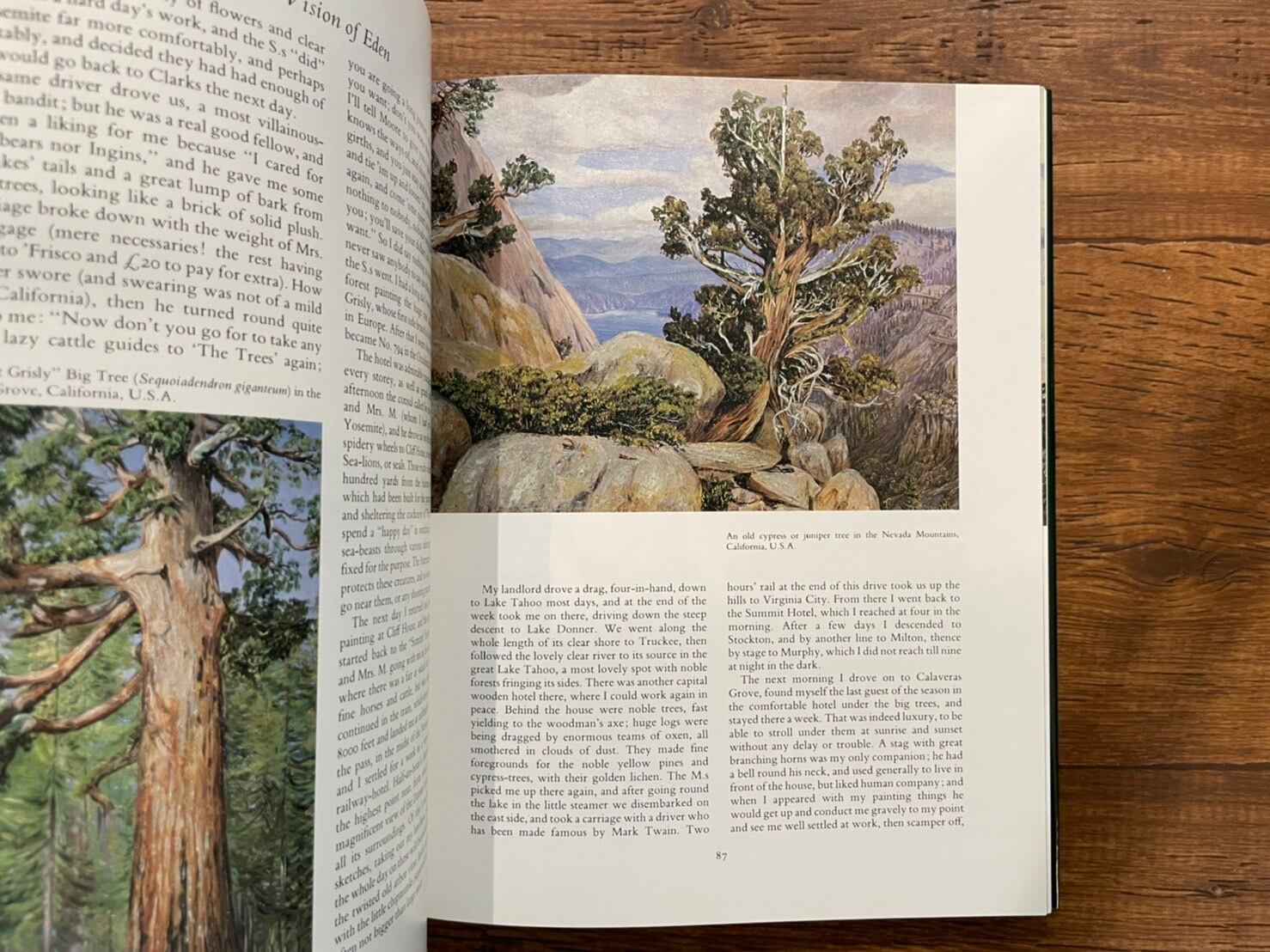 VN040】A Vision of Eden: Life and Works of Marianne North /visual