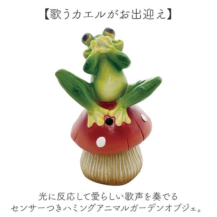 置物 センサー 通販 ガーデンオーナメント オブジェ カエルの歌声