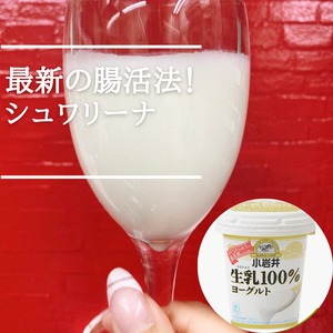 シュワリーナ☆生乳☆豆乳！どちらもお作りいただけます！神の島『久高島の祈りを捧げたシュワリーナ@』　発酵ヨーグルトシュワリーナでしっとりもちもち肌!!美腸活!!　好きな時間に作れる『お気軽キット♪』　