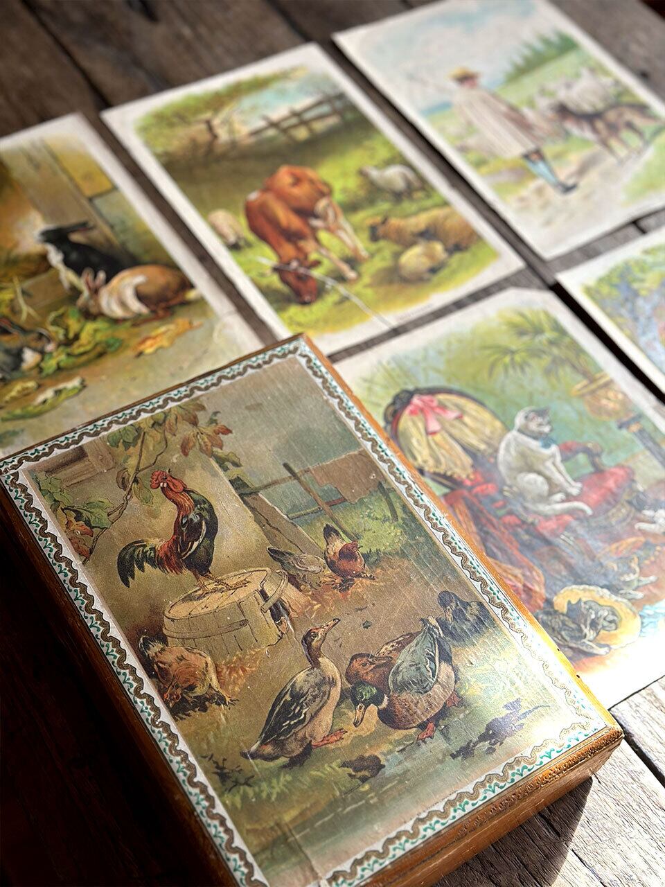木製立体パズル 動物ブロックパズル | Brocante de La Cocotte