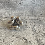 Karen silver , ring