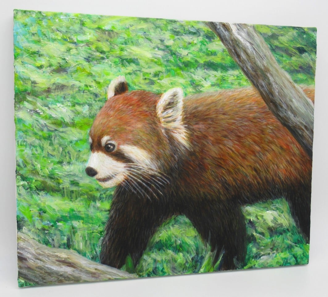 絵画 レッサーパンダ（01）redpanda アクリル画 8号 絵 F8 KIYOKAWA