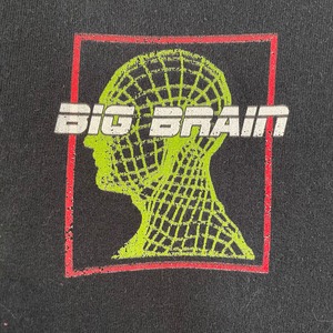 【PORT&COMPANY】ワンポイント BIG BRAIN プルオーバー パーカー アメリカ古着