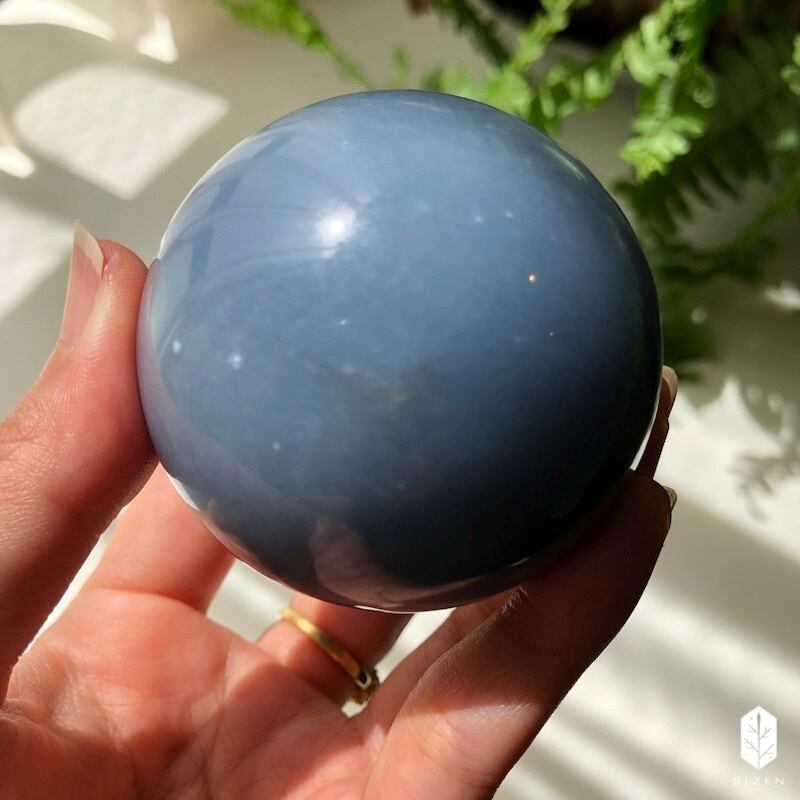 ff2403e36e8583c48c3c430229d697