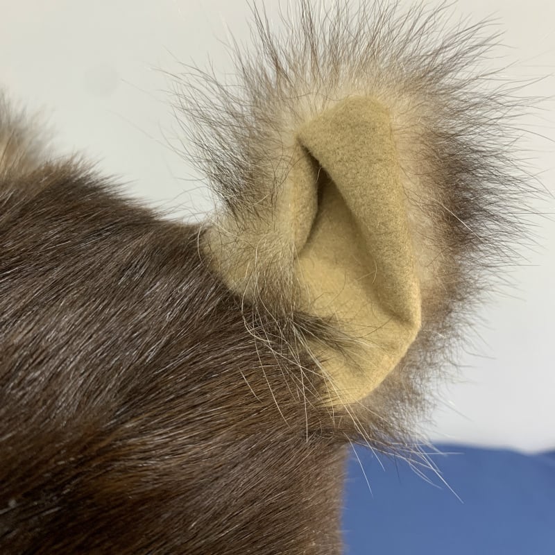 【毛皮】帽子　57〜61センチ　自立耳　尻尾付け替え3種　日本製