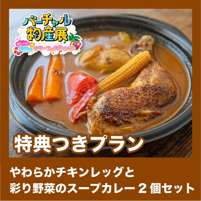 【特典つきプラン】やわらかチキンレッグと彩り野菜のスープカレー2個セット（サマーフェス【夜】）