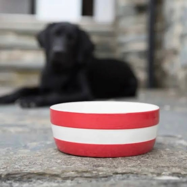 【cornishware】ドッグボウル