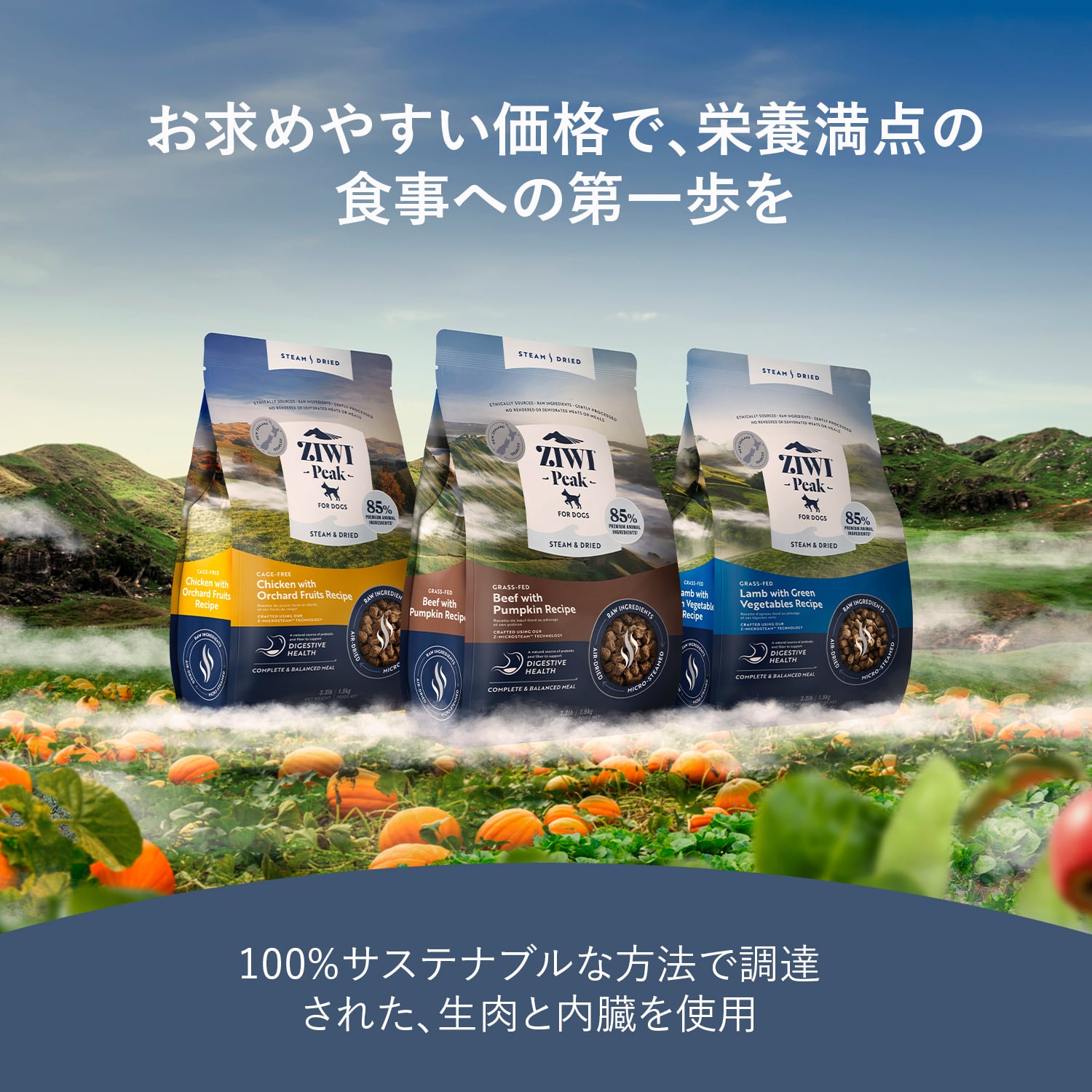 定期便】ラム 1.5kg スチーム＆ドライ ドッグ ZIWI Peak (ジウィ