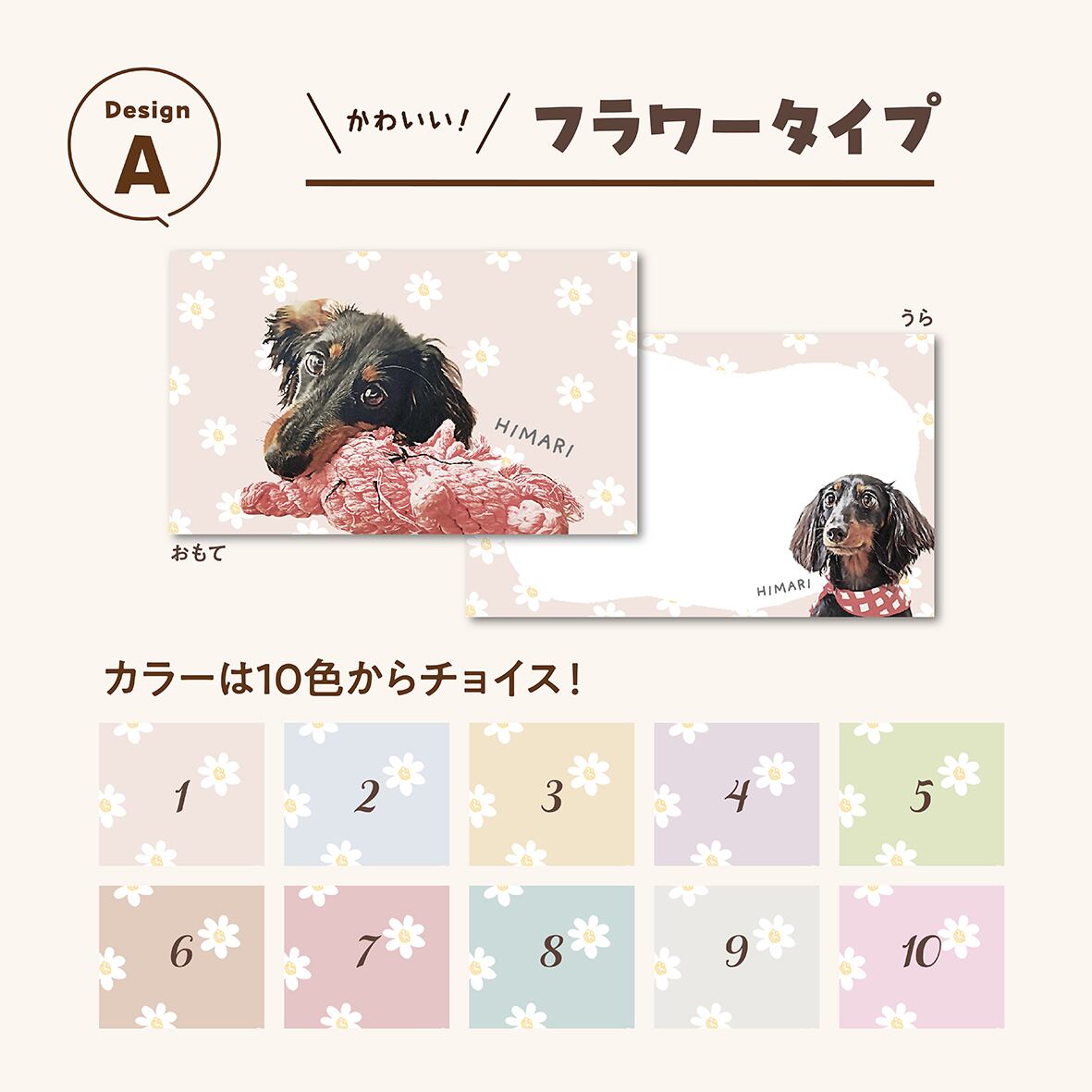 メッセージカード ☆100枚入り | ひまわんギャラリー | 〈オーダー