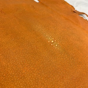 エイ革【約44㎝幅 】C12F-003　※浅草橋中央店販売商品