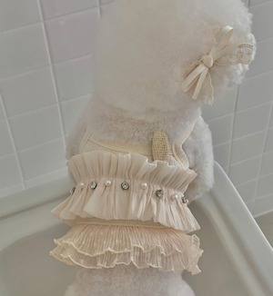 【seenii】SoonSu ops