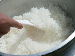 【幻の米】山形県新庄市の在来種「さわのはな」　5分づき米　1kg　（単一農家産米／無農薬無化学肥料）