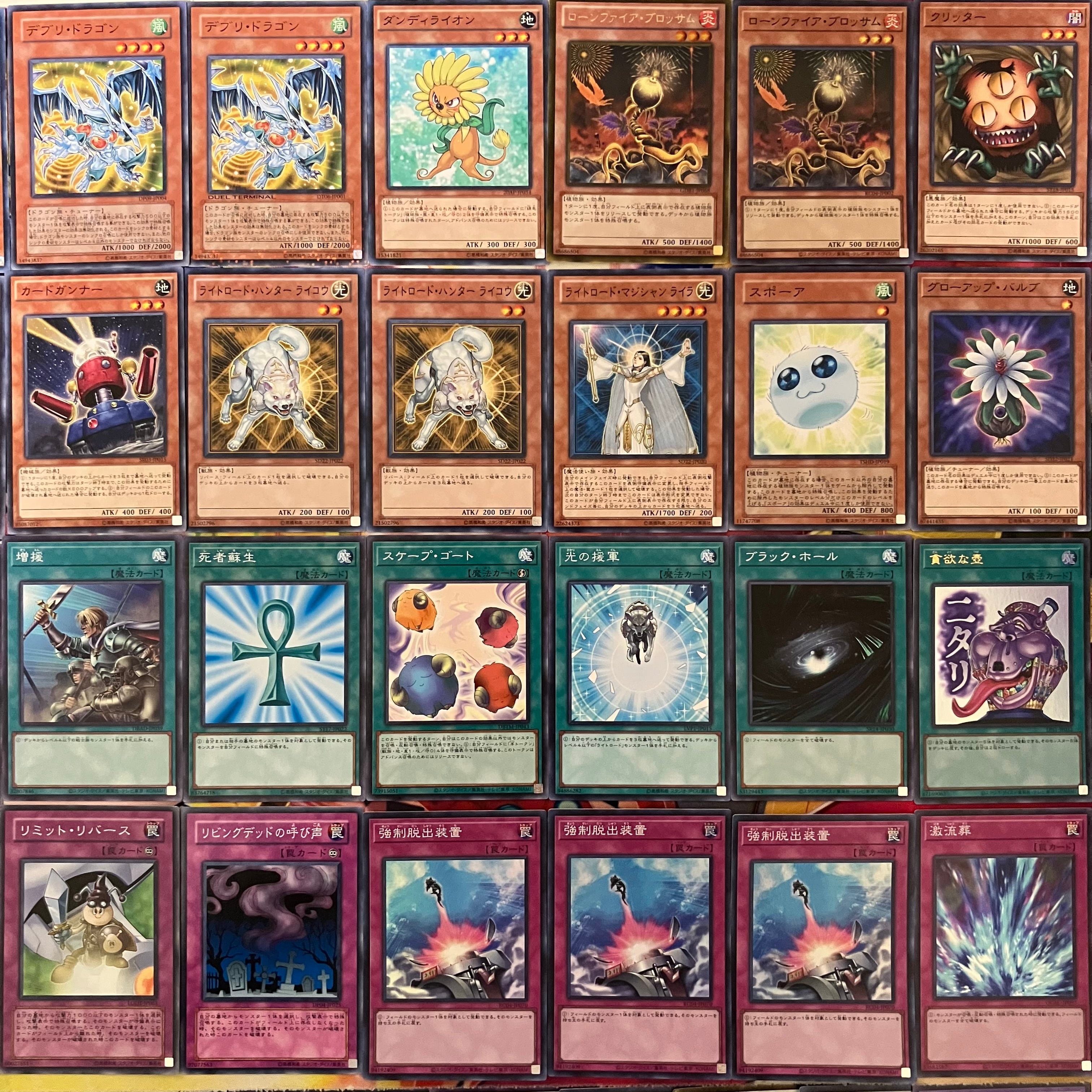1103環境 デブリダンディ ジャンド デッキ 遊戯王 ゲートボール | PAY ID