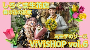 本誌連載「ViVi SHOP」限定商品 しろくま生花店の『ミモザのリース』（2月限定発売）