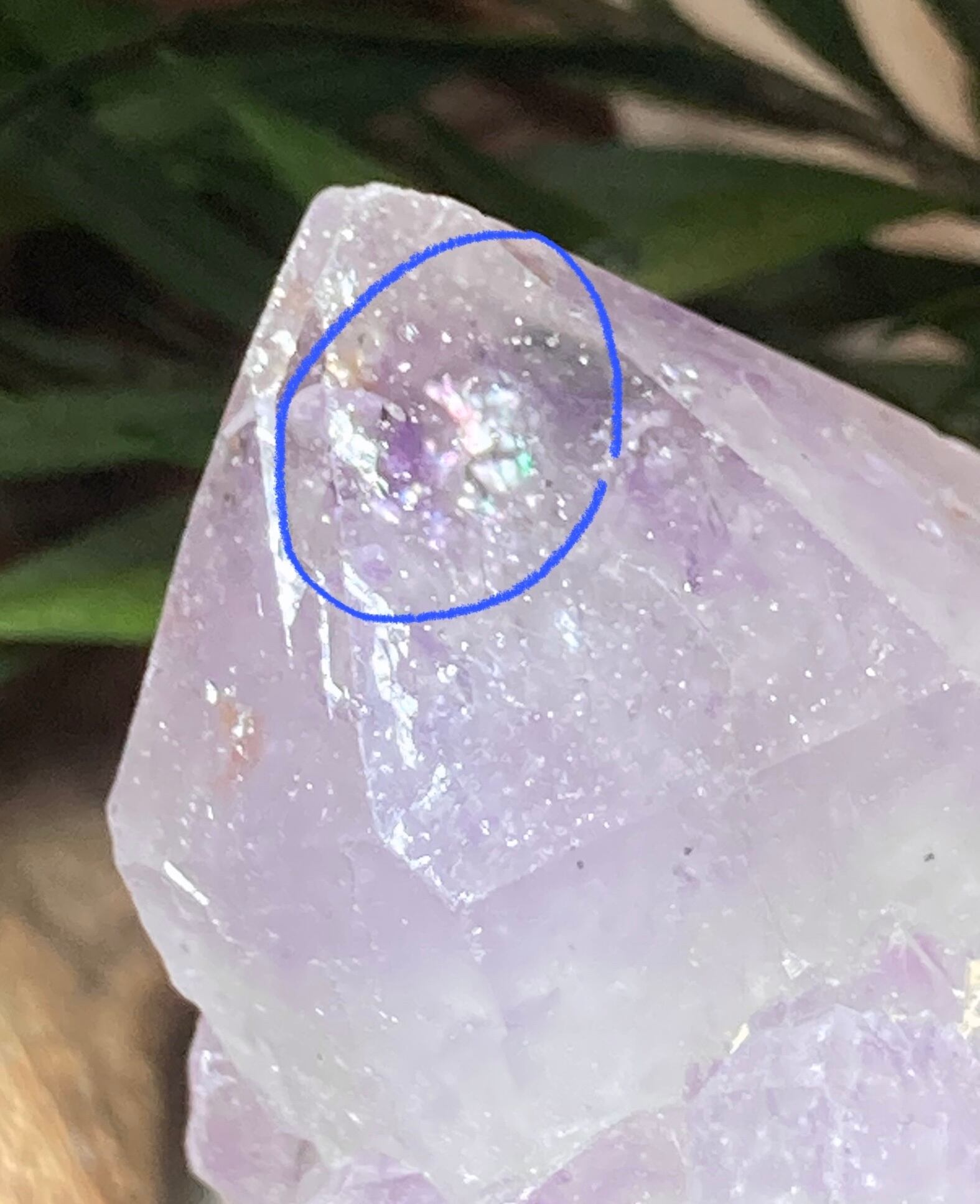 トライゴーニック✨虹入りカクタスアメジストサボテン水晶ラフストーン原石