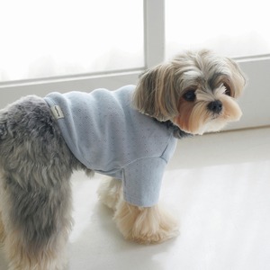 【即納｜一部予約】[ togethering ] Eyelet Crop T-shirt｜Light Blue
