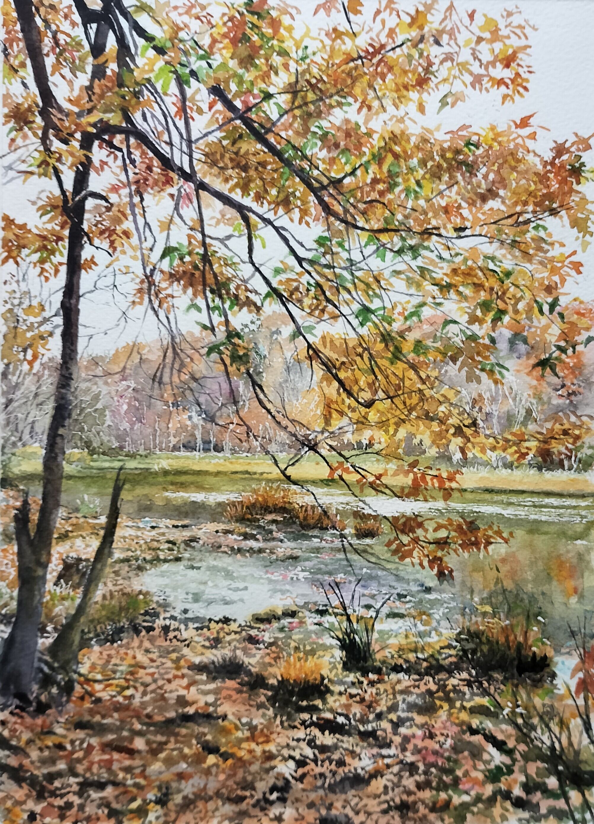 水彩画 風景画 画題「晩秋の川を照らす」 | yamakasumi56