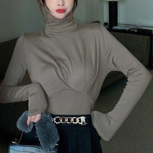 タートルネック 長袖 Tシャツ レディース トップス 春秋冬 きれいめ おしゃれ 大人 かわいい カジュアル インナー 起毛 シンプル 大人可愛い 大人女子