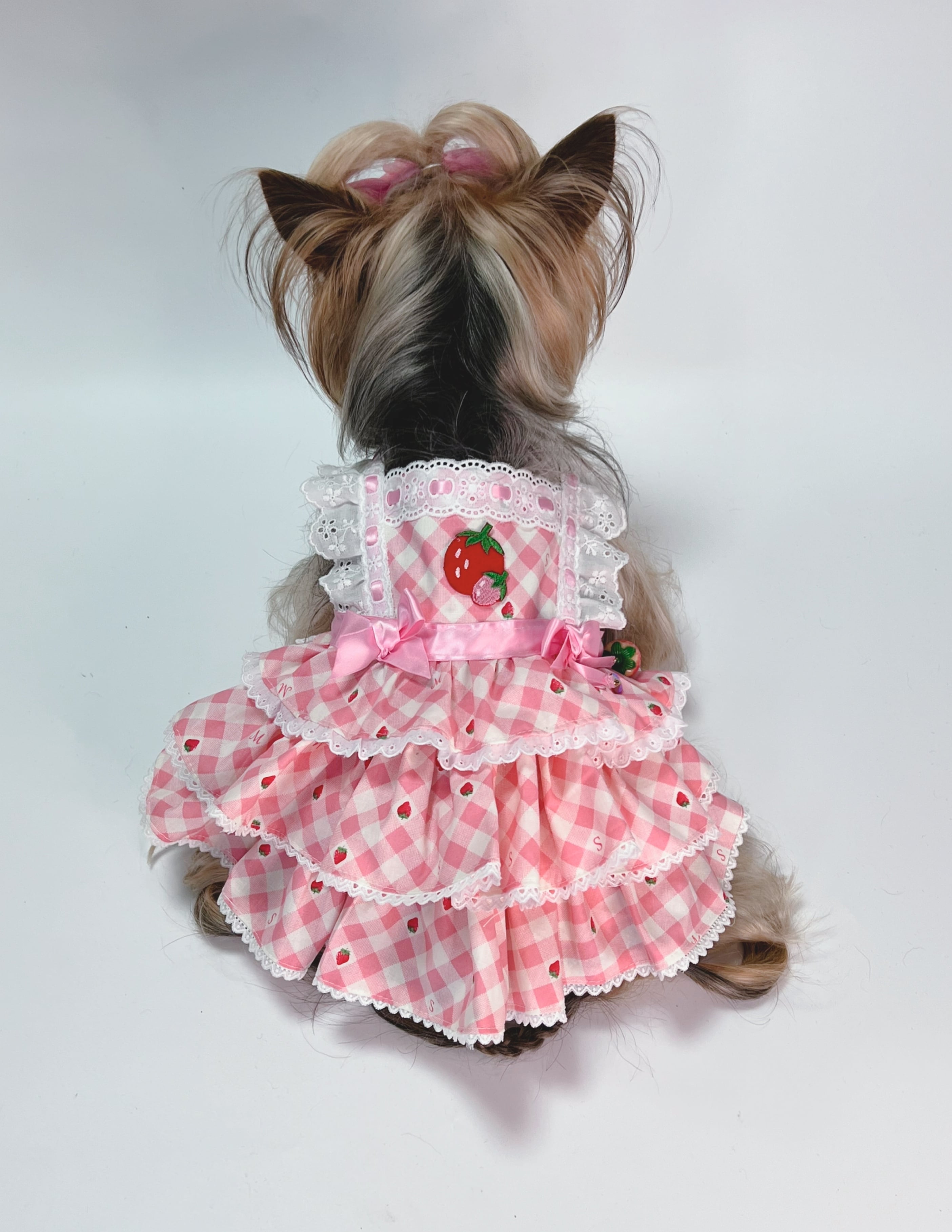 犬服 3S わんこの普段着いちごケーキ